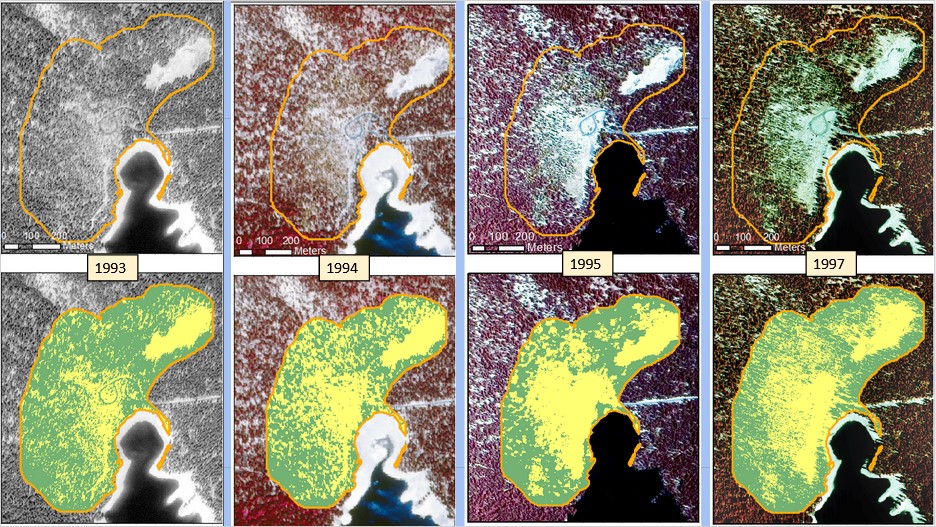 Four years of historical photographs overlaid with our ~31.6ha region of interest (top) and the average land cover classification within the region of interest (bottom).