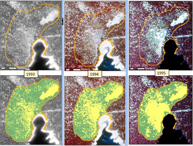 Historical Image Analysis of Tree Mortality at Horseshoe Lake